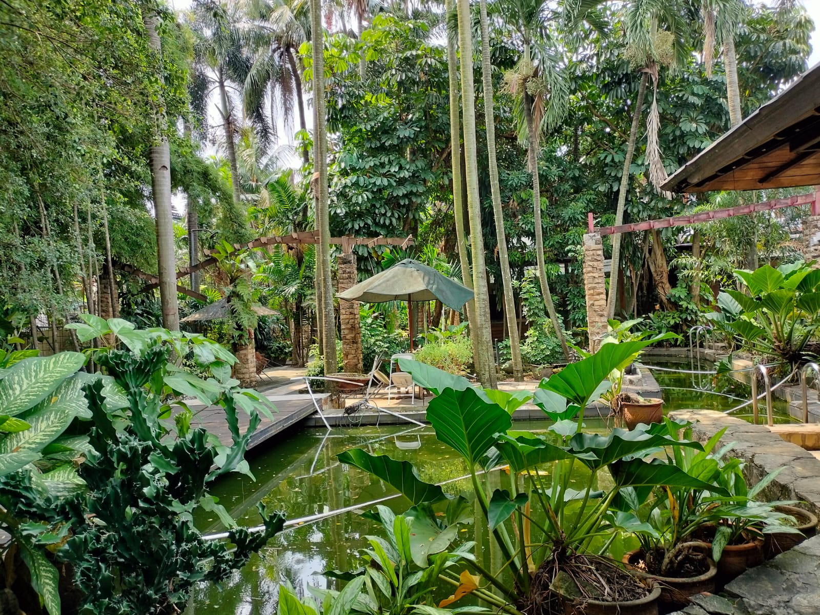 Dijual Tanah Bonus 2 Unit Rumah Cilandak, Jakarta Selatan