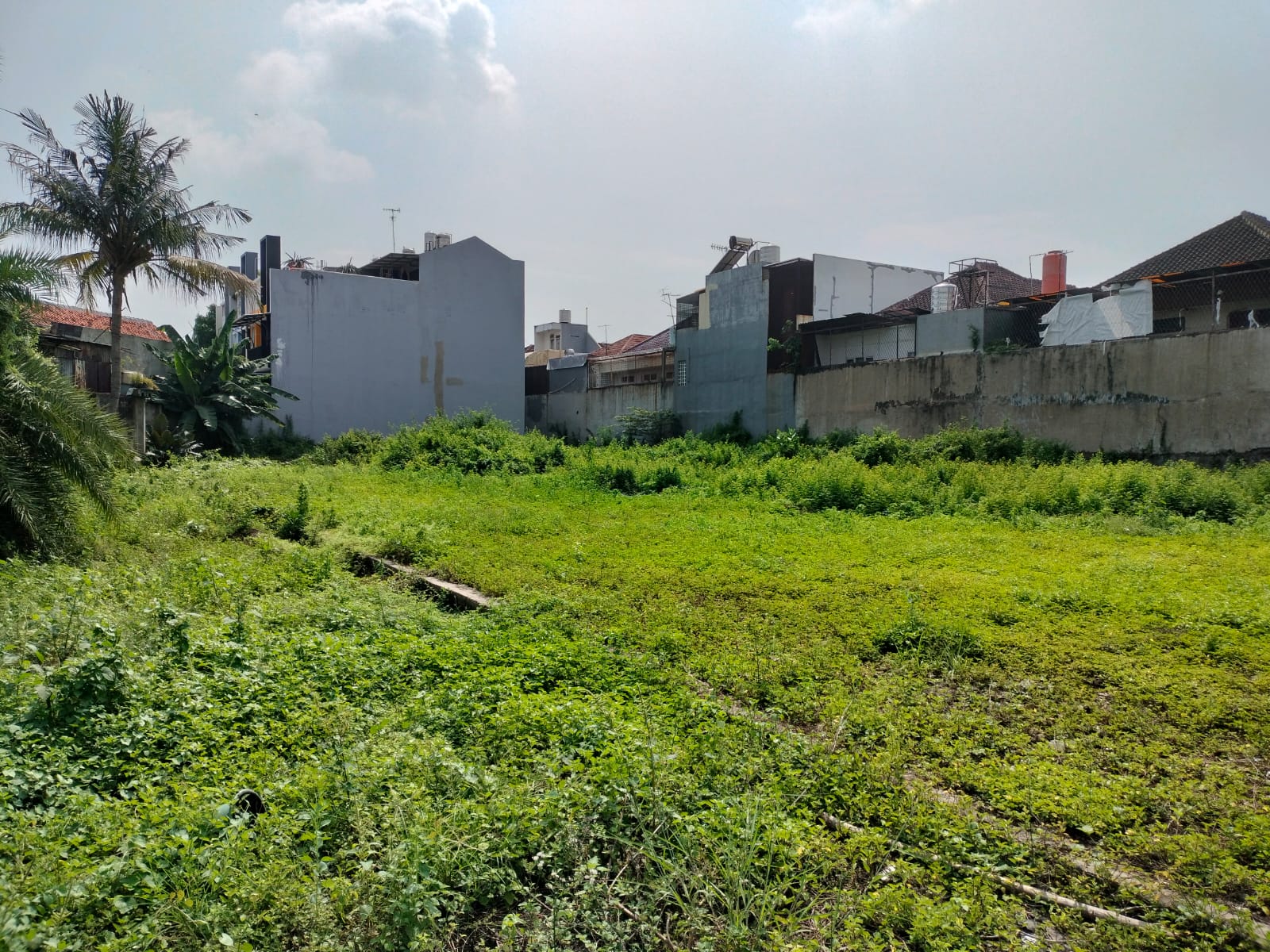 Disewakan Tanah Surya Wijaya, Kebon Jeruk Jakarta Barat