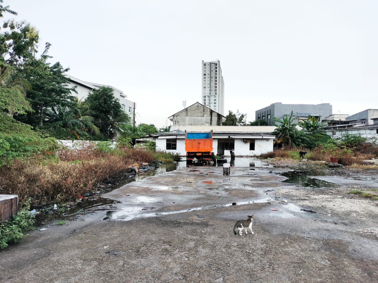Dijual Tanah Sunter, Jakarta Utara