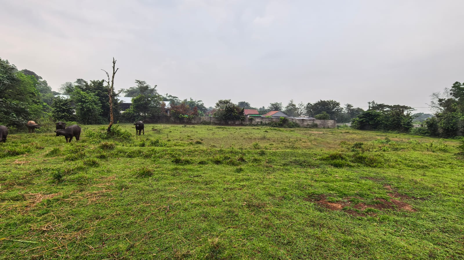 Dijual Tanah Kutruk Ranca Iyuh, Jambe Tangerang