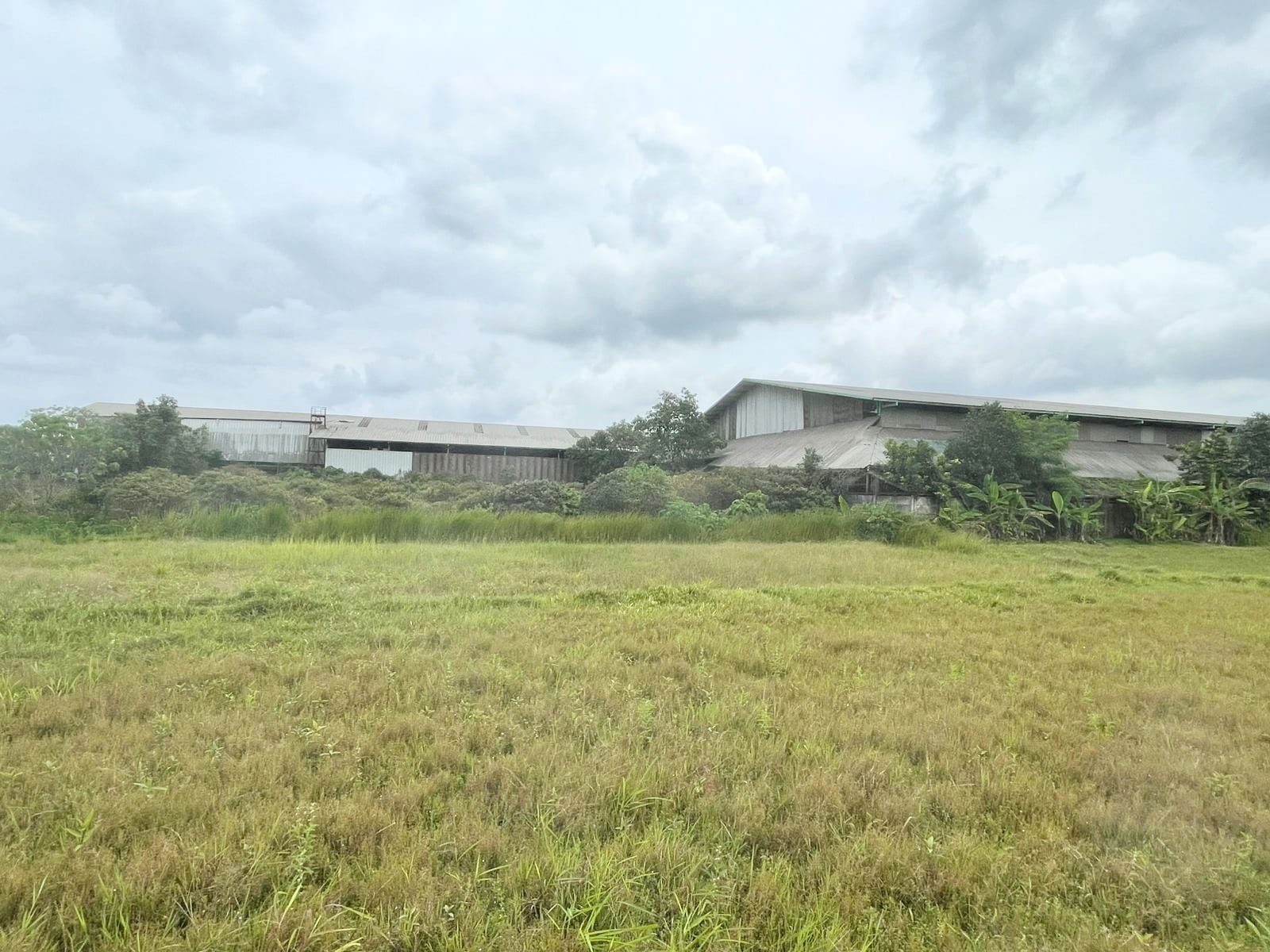 Dijual Tanah Mekarjaya, Curug Banten