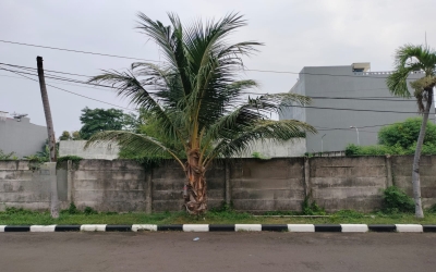 Tanjung Priok